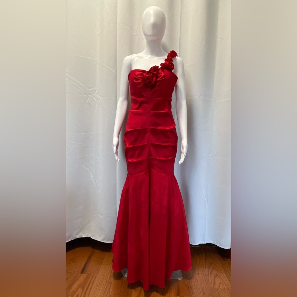 Nina Ferre Women’s Evening Gown